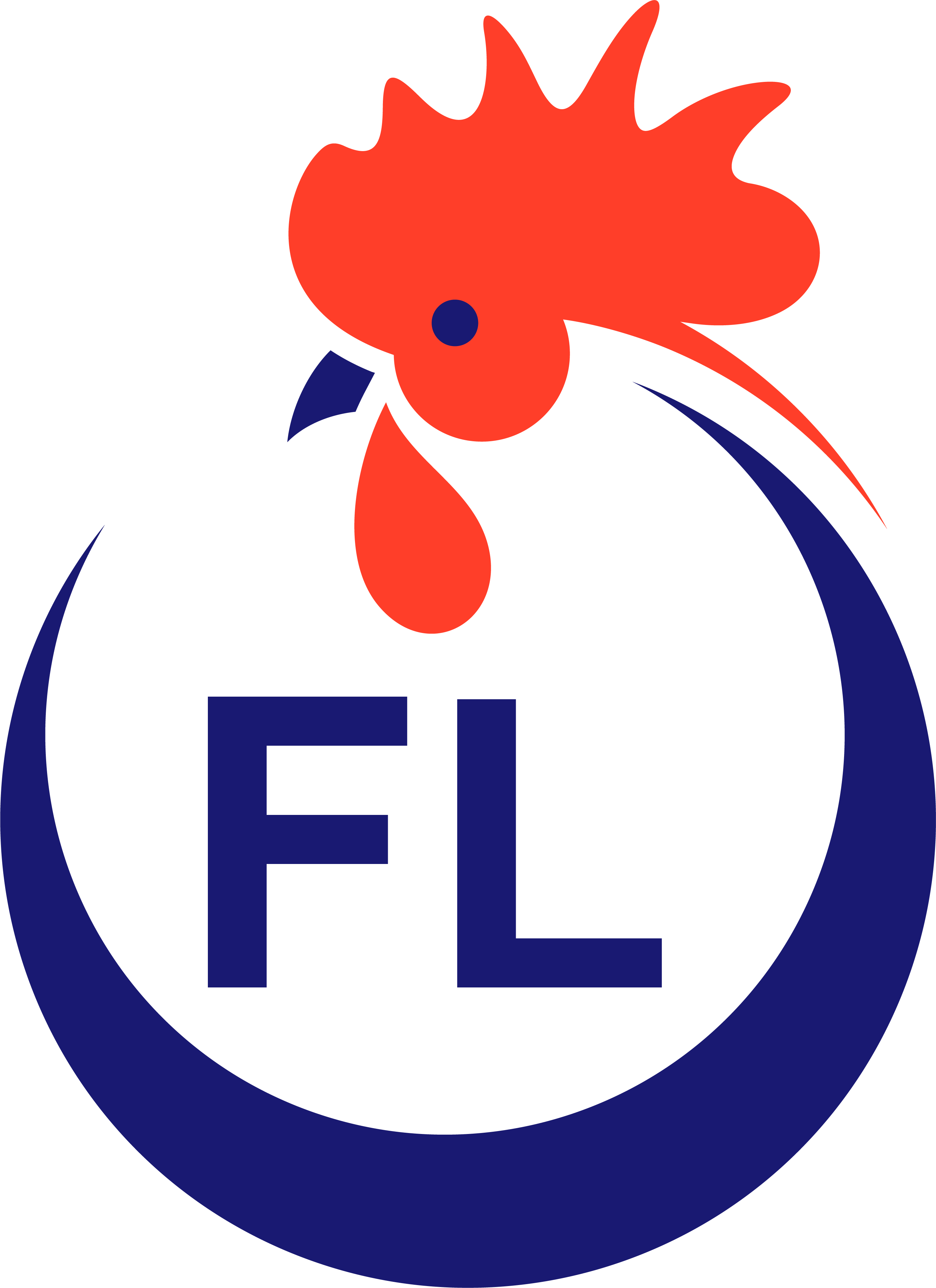 Florida rooster icon