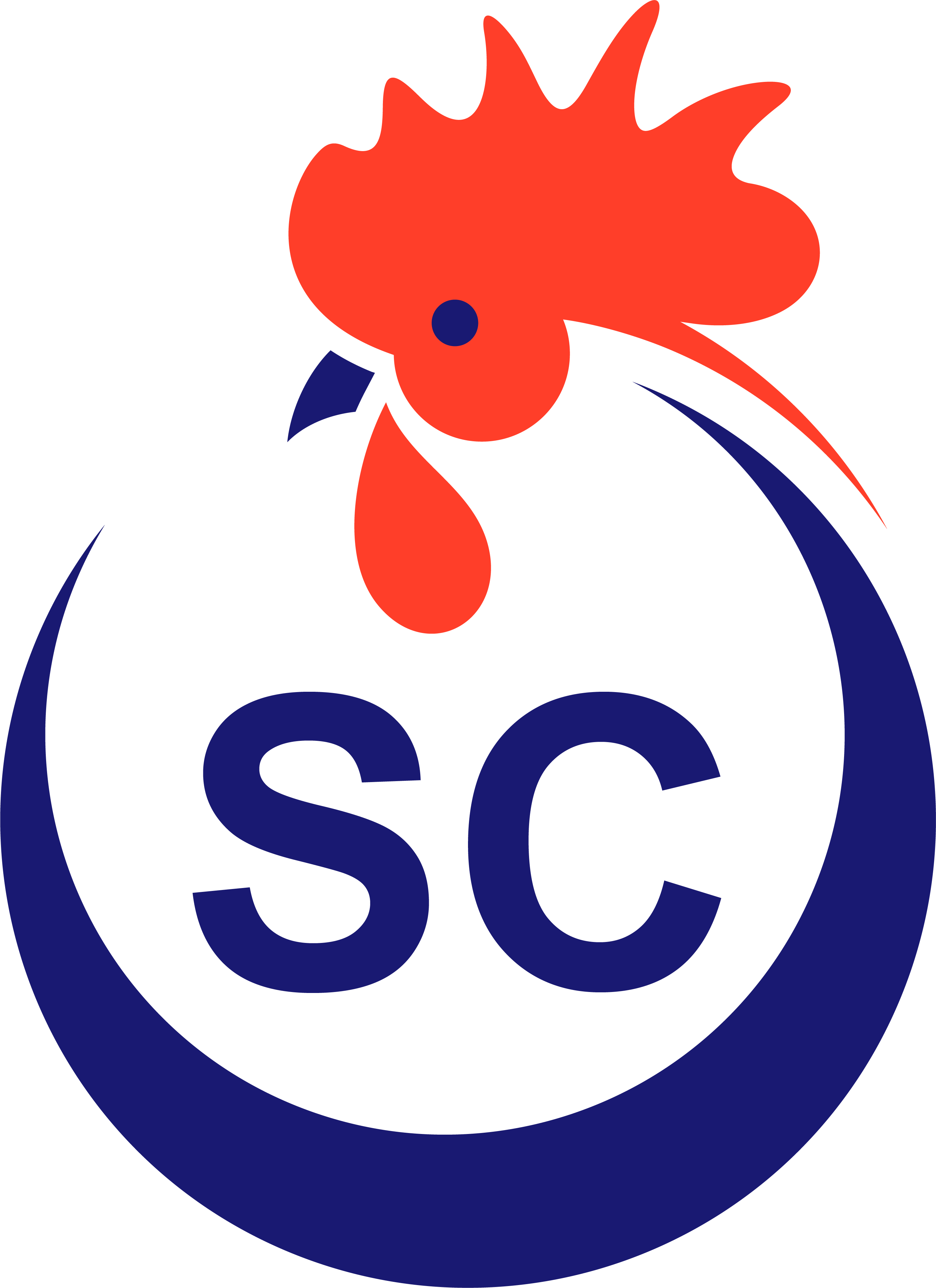 South Carolina rooster icon
